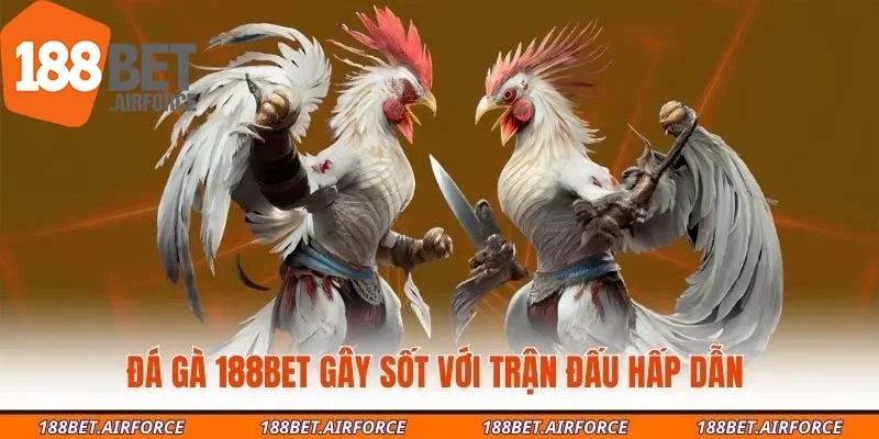 Đá gà 188Bet gây sốt với trận đấu hấp dẫn