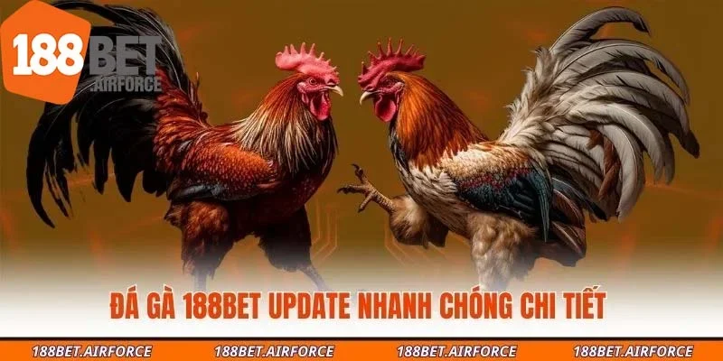 Đá gà 188Bet update nhanh chóng chi tiết