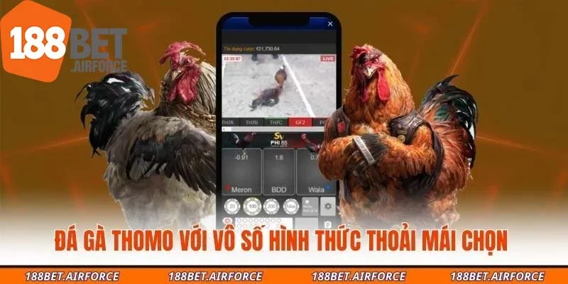 Đá gà Thomo với vô số hình thức thoải mái chọn